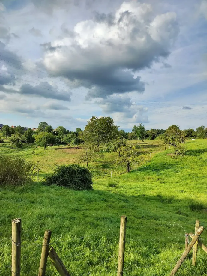 agroforesterie, champs, haie, verger, fruitier, mare