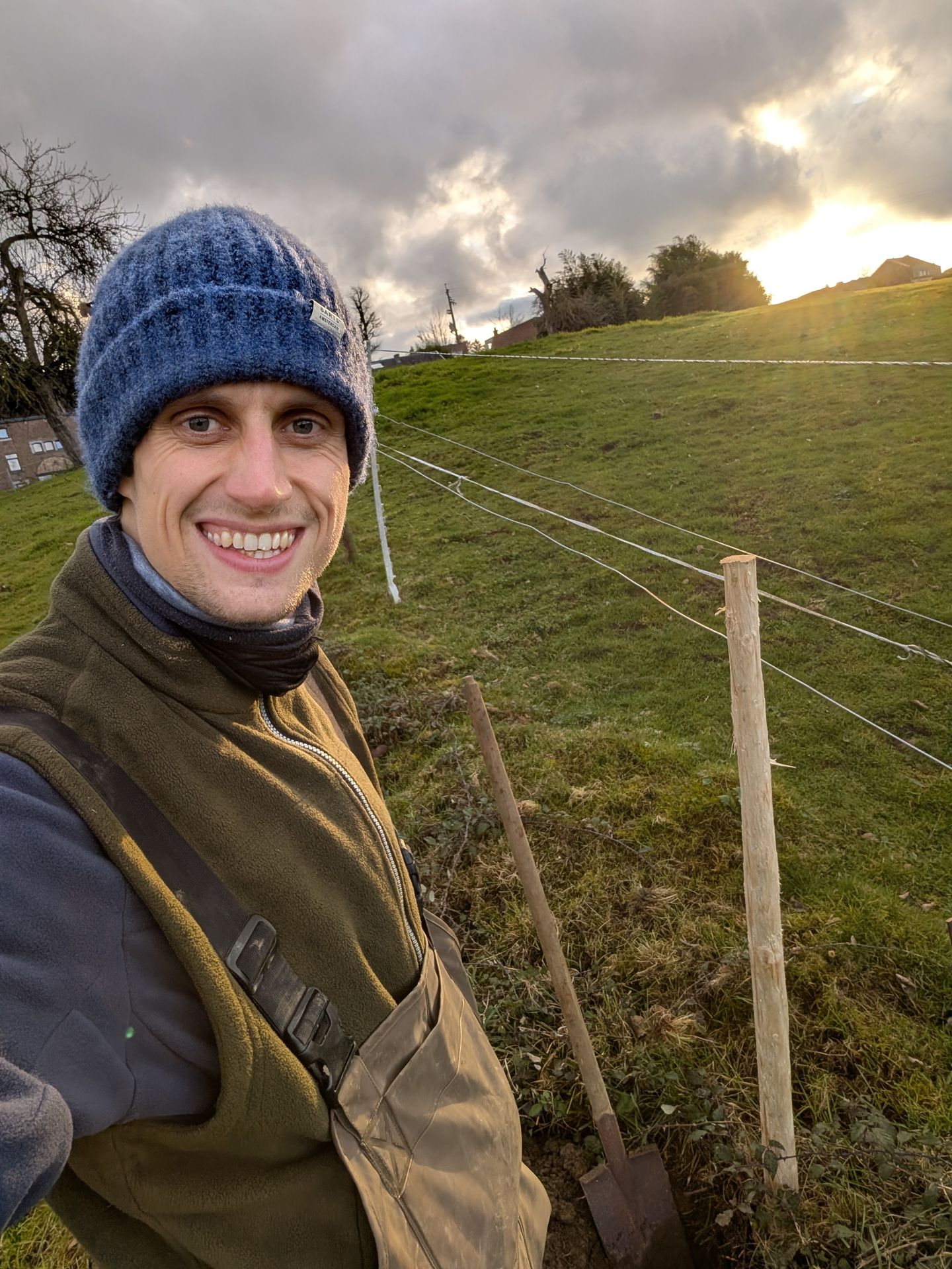 alignement d&#39;arbres